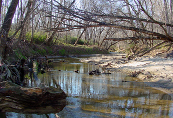 photo of Ellerbe Creek