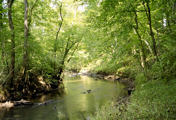 photo of Swift Creek